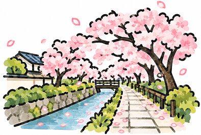 桜舞う哲学の道